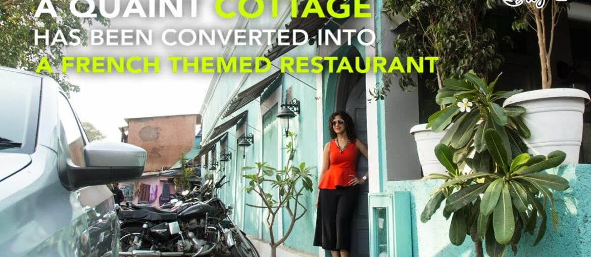 Slink & Bardot In A Minute | Curly Tales