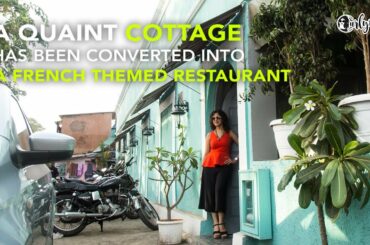 Slink & Bardot In A Minute | Curly Tales