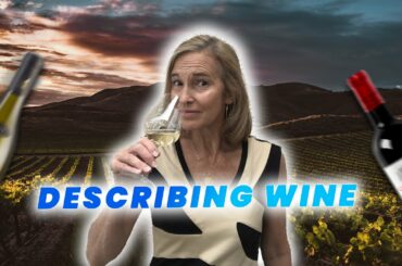 DESCRIBING WINE - FOOD & DRINK #1