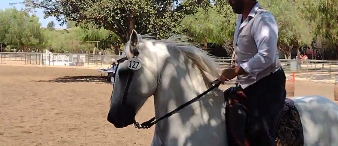 2022 Wine Country Classic - Ease of handling