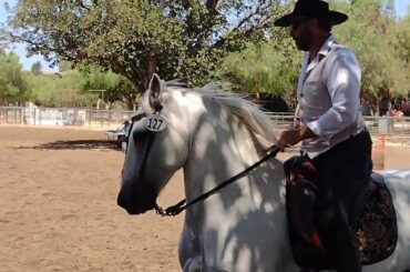 2022 Wine Country Classic - Ease of handling