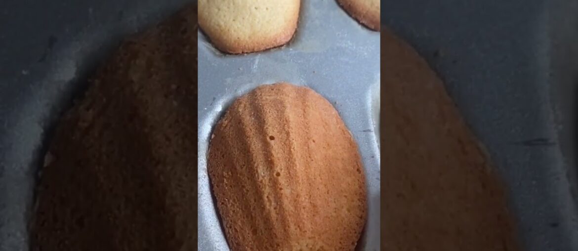 How to bake French Madeleines: Lemon and elderflower cake:  Madeleine recipes easy : Madeleines