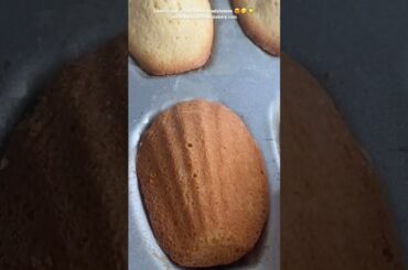 How to bake French Madeleines: Lemon and elderflower cake:  Madeleine recipes easy : Madeleines
