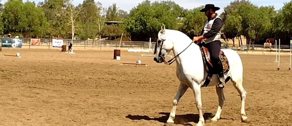 2022 Wine Country Classic - Dressage Test