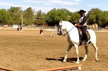 2022 Wine Country Classic - Dressage Test