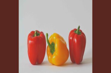 Smoky French Restaurants