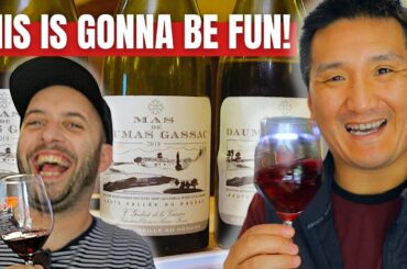 Searching for GREAT French RED WINE in the Languedoc