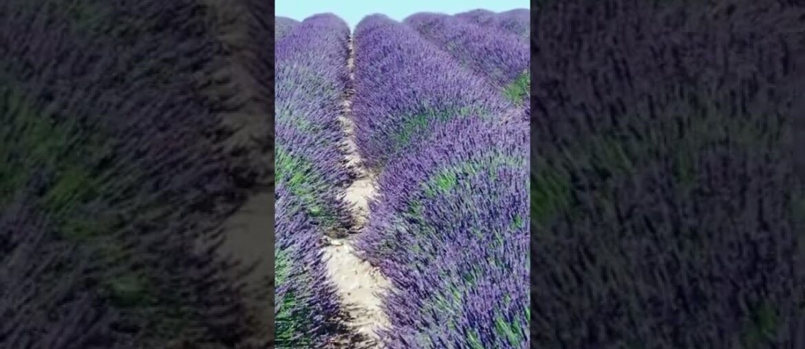 SAMPLE CUTS of FRANCE 4K Cinematic Drone Footage