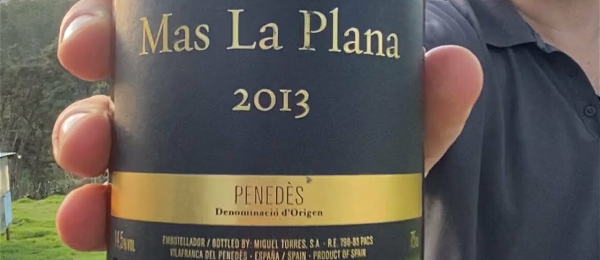 Wine Review: 2013 Torres Mas La Plana Cabernet Sauvignon