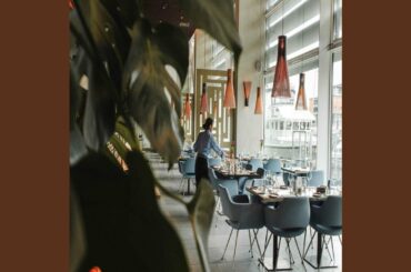 Serene Son Montuno Trumpet - Vibe for Dining with Friends