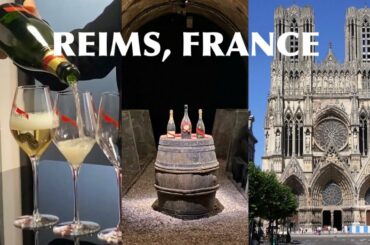 Reims, France VLOG | champagne tasting and tour with MICEFA :)