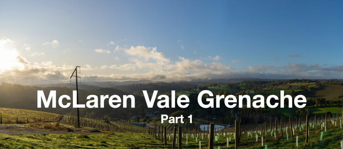 McLaren Vale Grenache: Toby Bekkers, Bekkers Wine McLaren Vale Grenache: Toby Bekkers, Bekkers Wine