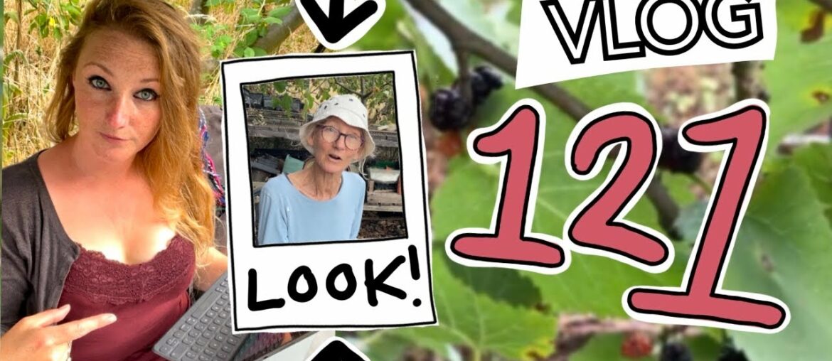 #121 Look Who's Back!! Plus Beans, Mulberries and Wisely || Plot 37