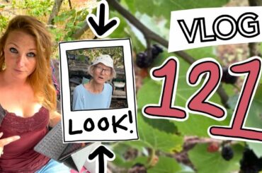 #121 Look Who's Back!! Plus Beans, Mulberries and Wisely || Plot 37