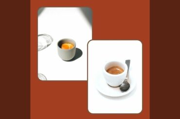 Playful Gourmet Coffee Roasters