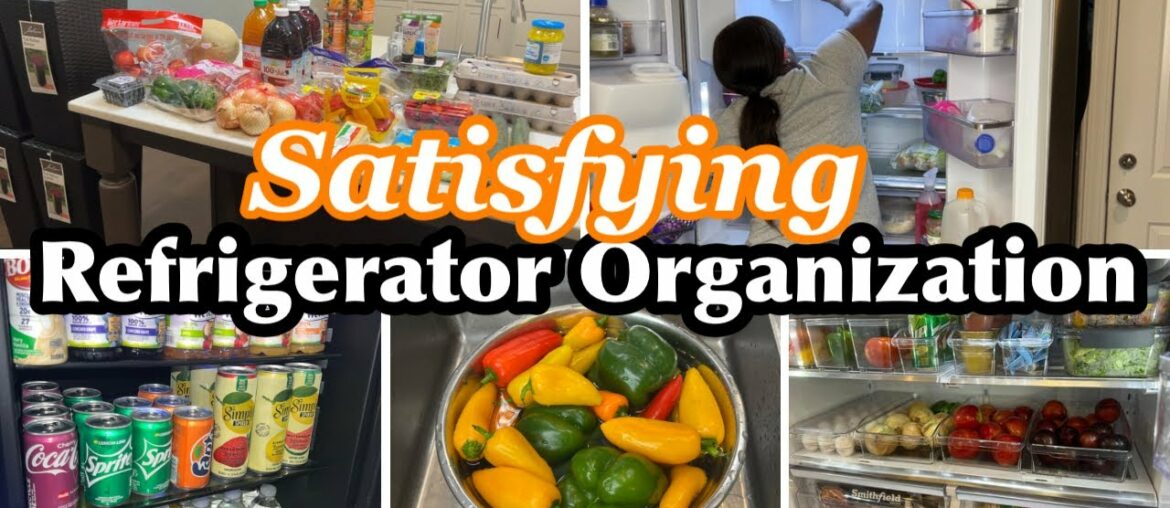 SATISFYING REFRIGERATOR ORGANIZATION|CLEAN, ORGANIZE, & RESTOCK WITH ME|NewAir Ice Maker