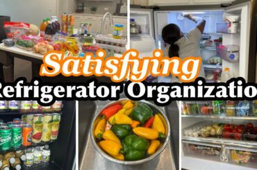 SATISFYING REFRIGERATOR ORGANIZATION|CLEAN, ORGANIZE, & RESTOCK WITH ME|NewAir Ice Maker