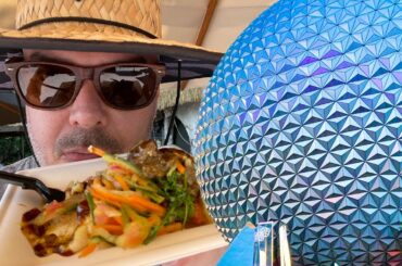 Eating and Getting Sick at Epcot's International Food & Wine Festival