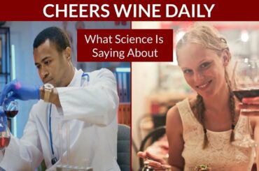 Why a glass of Red Wine Can Prevent Several Diseases? WHAT SCIENCE IS SAYING ABOUT RED WINE BENEFITS