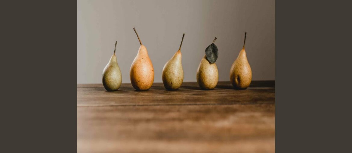 Wondrous Ambience for French Restaurants Wondrous Ambience for French Restaurants