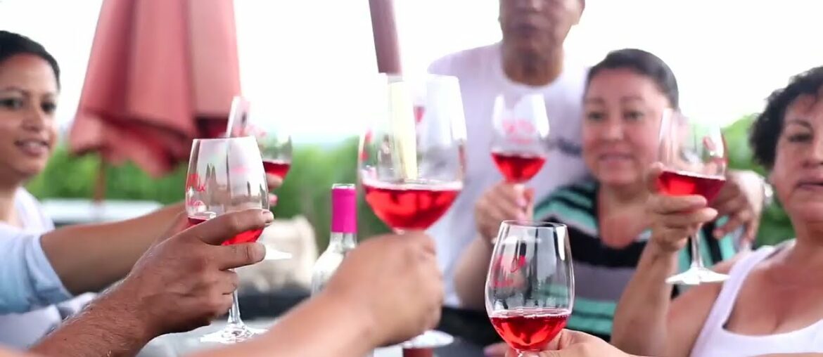 An Introduction To Ardiri Winery & Vineyards An Introduction To Ardiri Winery & Vineyards