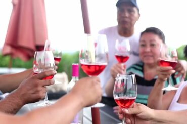 An Introduction To Ardiri Winery & Vineyards