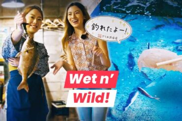 Beat the Heat! Water-Themed Restaurants of Tokyo!