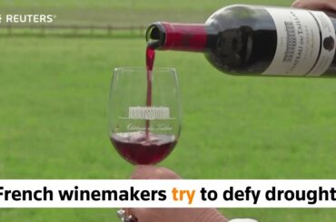 French winemakers set to defy drought, lift output