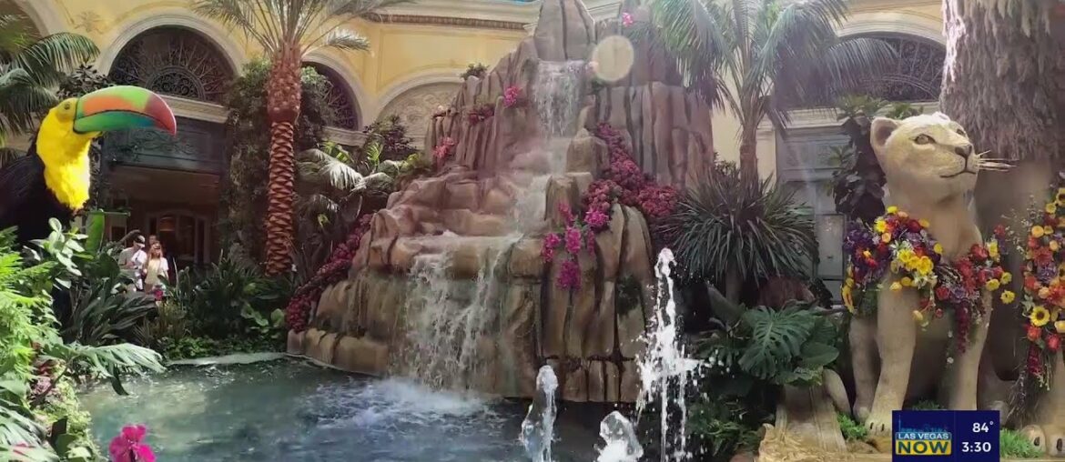 The Dining Table of Dreams