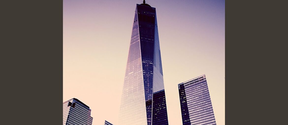 Vibrant Backdrops for Trendy Dining