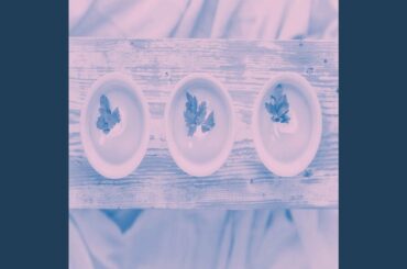 Vivacious French Restaurants