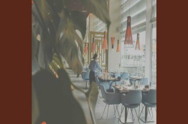 Opulent Backdrops for French Restaurants