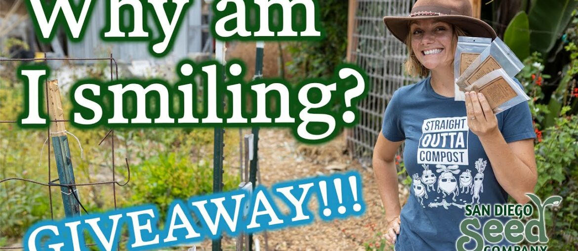 Big Milestone, Big Giveaway! I Bet You've Never Had Tomatoes Like This Big Milestone, Big Giveaway! I Bet You've Never Had Tomatoes Like This