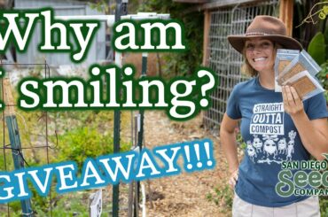 Big Milestone, Big Giveaway! I Bet You've Never Had Tomatoes Like This