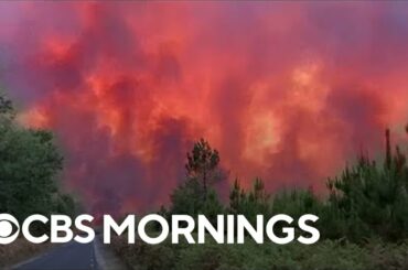 Devastating wildfires are burning in France