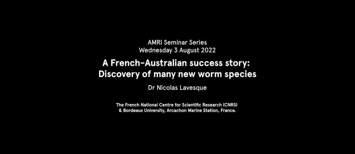 AMRI Seminar: Discovery of new worm species by Dr Nicolas Lavesque 2022 AMRI Seminar: Discovery of new worm species by Dr Nicolas Lavesque 2022