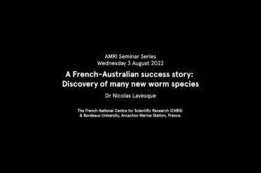 AMRI Seminar: Discovery of new worm species by Dr Nicolas Lavesque 2022