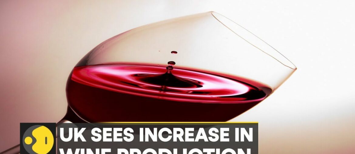 WION Climate Tracker | UK to become prime wine growing region as temperature rises