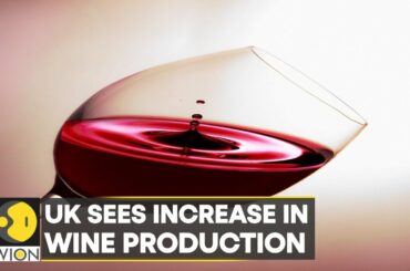 WION Climate Tracker | UK to become prime wine growing region as temperature rises