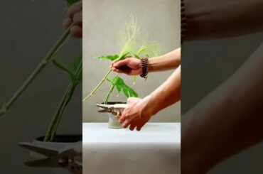 eating/eating challenge/eating asmr/yummy food eating and cooking insider home  #yummyfood