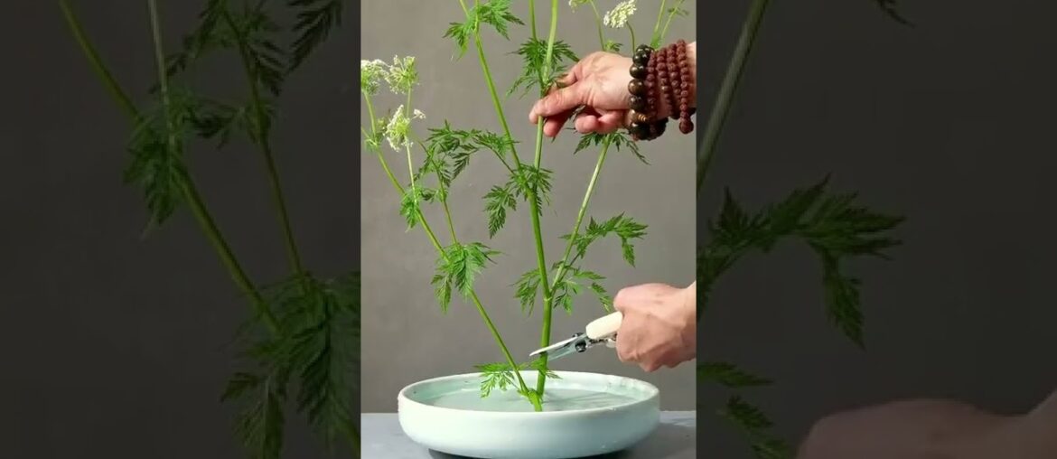 eating/what's eating gilbert grape/binge eating disorder eating/what's eating gilbert grape/binge eating disorder