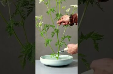 eating/what's eating gilbert grape/binge eating disorder