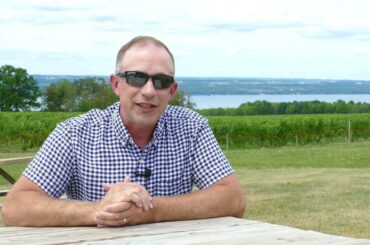 New York Wine Reference Guide: New York Cabernet Franc