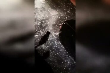 Apocalypse in France! Millions of dollars worth of vineyards destroyed in Brignoles in Var!