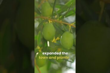 How defeating Napoleon created Alabama wine #Short