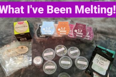 What I've Been Melting! #scentsy #destinationwax #sugar&spice #catalyst #parchmentliners