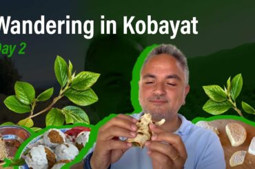 Tourism in Kobayat Day 2: Restaurants, Guesthouses, Museums, Forests, Nature and Hikes