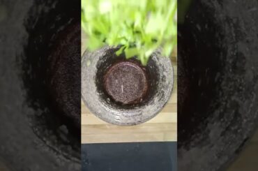 french fries recipe| potato fries| #shorts