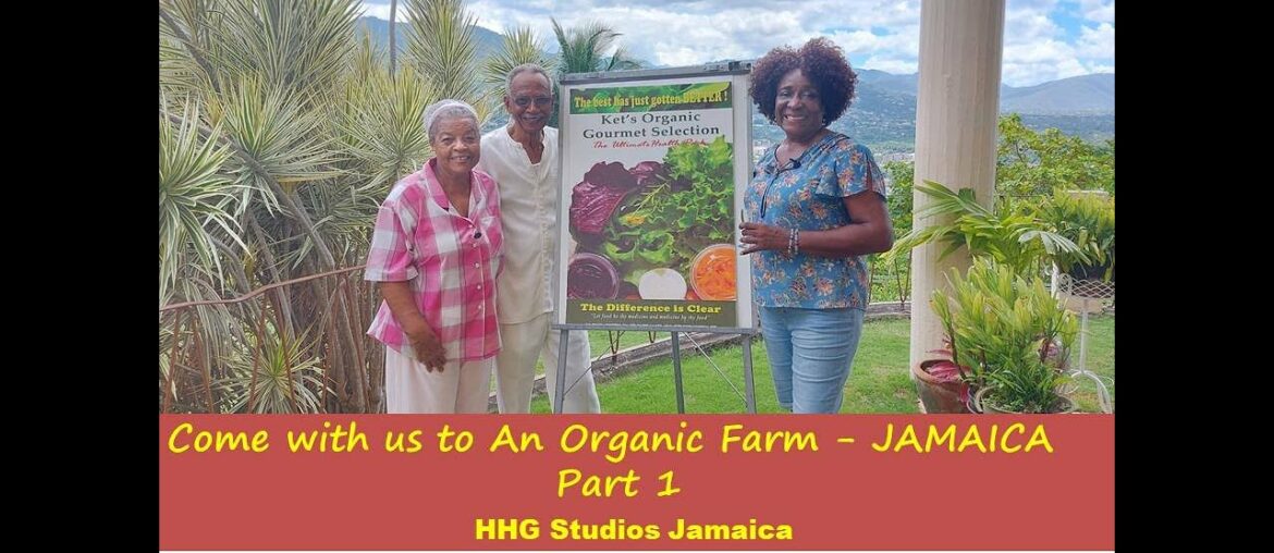 Come With Us to An Organic Farm – PART 1 || JAMAICA Come With Us to An Organic Farm - PART 1 || JAMAICA