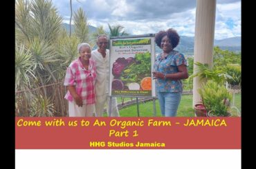 Come With Us to An Organic Farm - PART 1 || JAMAICA